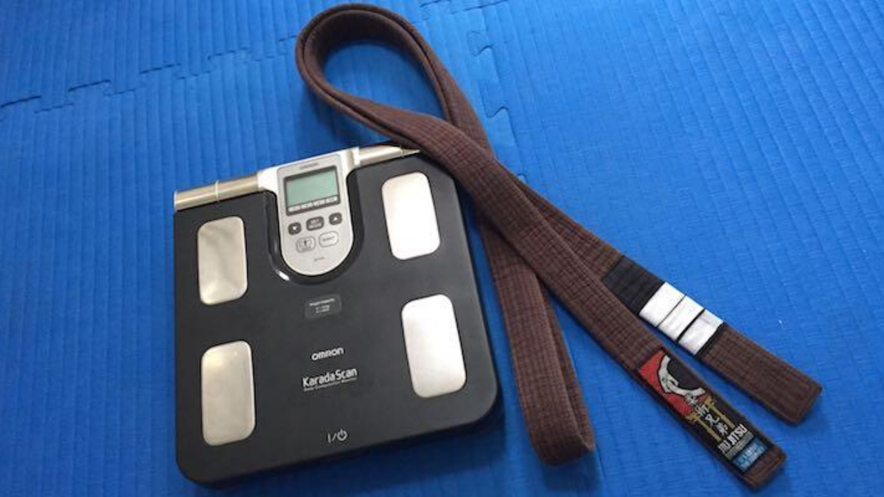 digital boxing/wrestling scale fat body scale