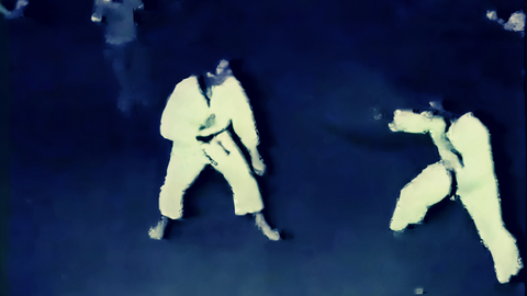 Jiu Jitsu Vs. Karate