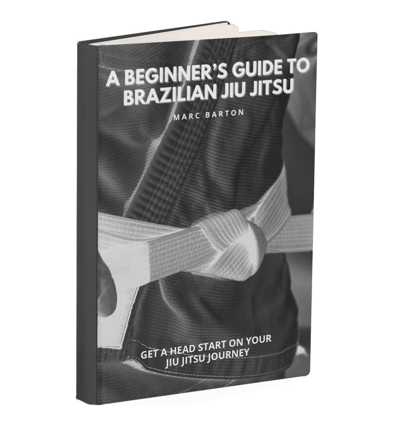 Cover of A Beginner's Guide to Brazilian Jiu Jitsu by Marc Barton