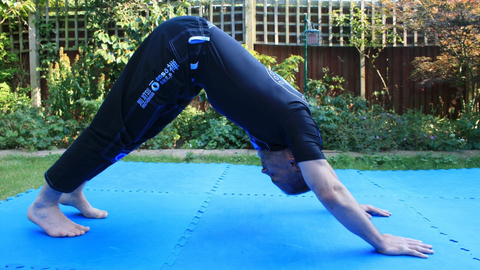 Yoga & Jiu Jitsu: A Natural Symbiosis